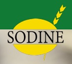 Sodine